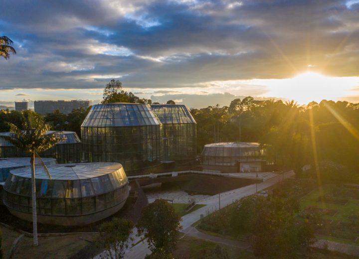 Jardin Botanico Bogota